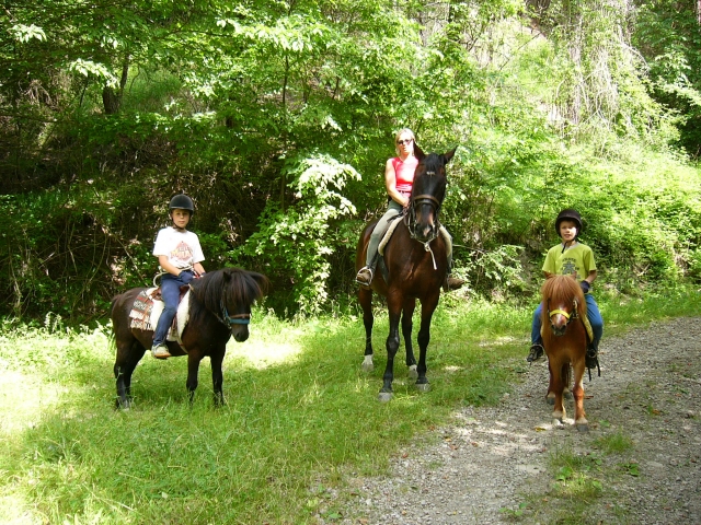  Pbaños con pony y niños 